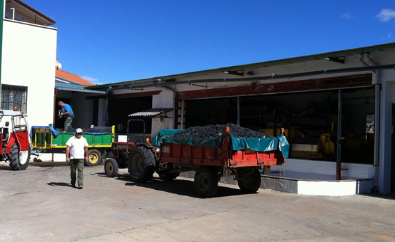 tractores en valdilecha.jpg